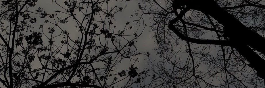 TraceBiel's profile banner image