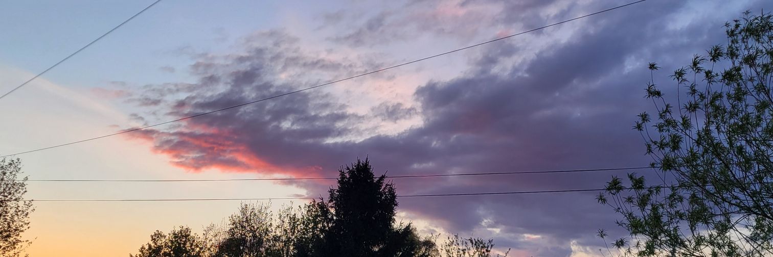 trcy's profile banner image