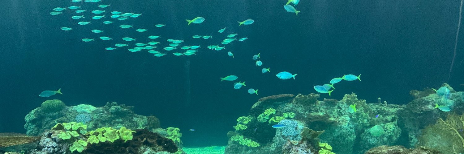 sergio gutiérrez negrón banner