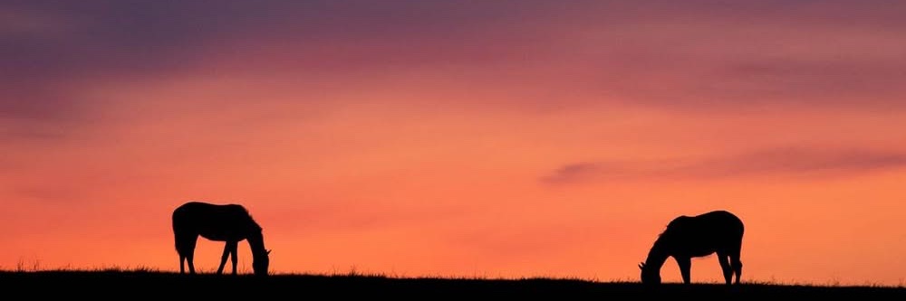 Otis Campbell banner