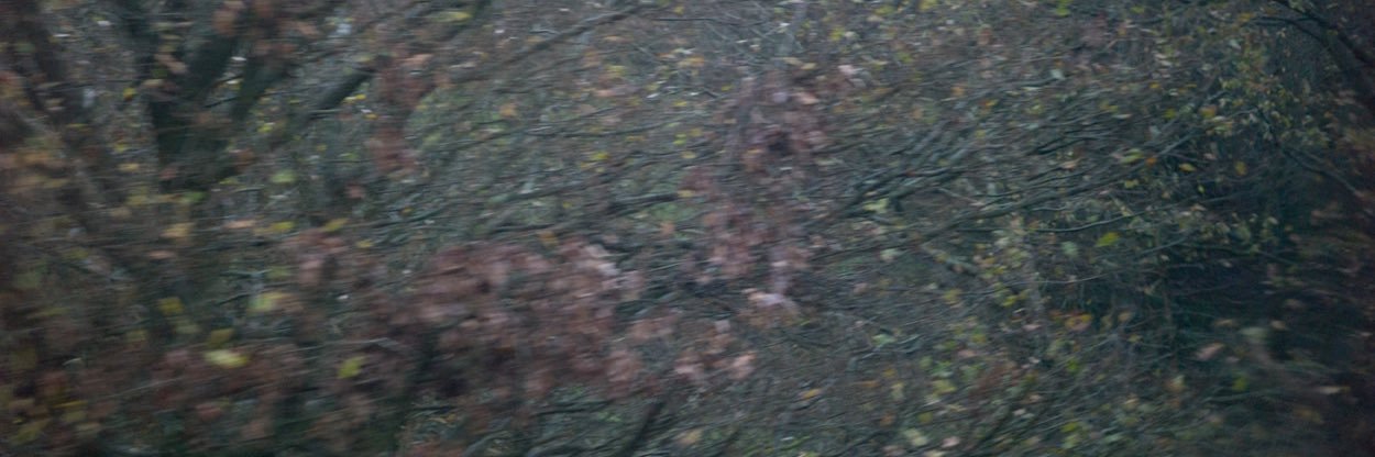 16apr79's profile banner image