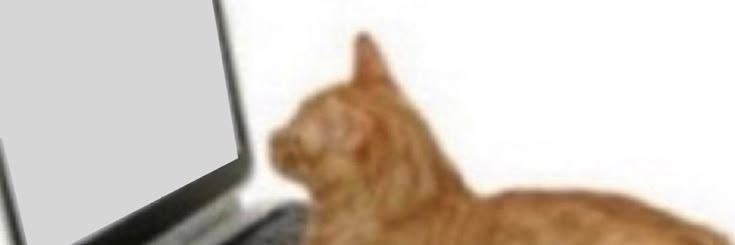 simi ; edtwt ˚˖𓍢ִ໋❀ banner