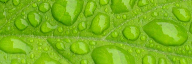 MultiCleanGeek's profile banner image