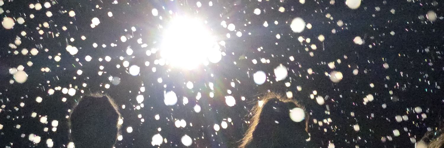 CafHeyo's profile banner image