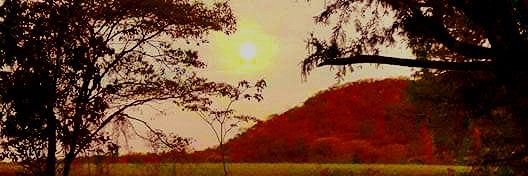 Cornman23's profile banner image