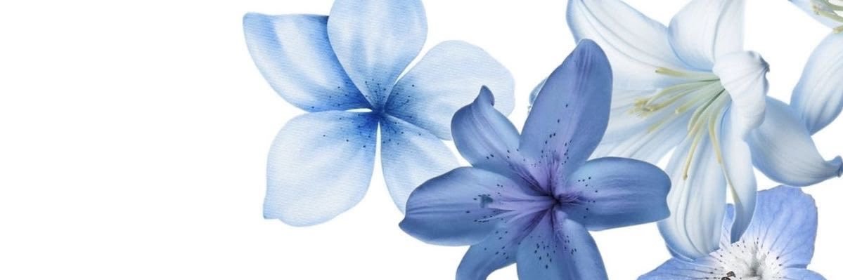 Dawn🦋 banner