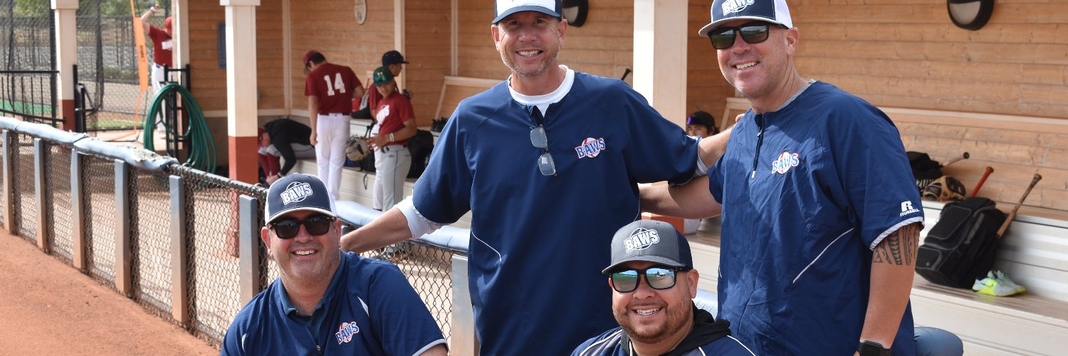 Bay Area World Series (BAWS) banner