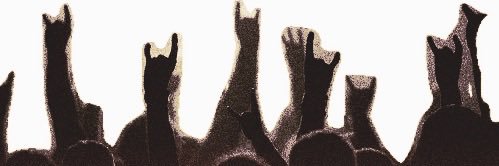 bandhighs's profile banner image