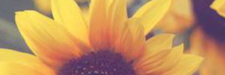 MollyAga's profile banner image