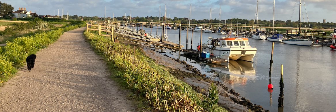 Erika Clegg DL FRSA banner