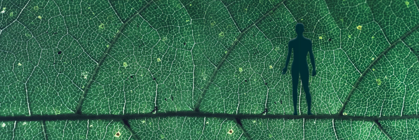 Biomimetic Sciences Institute banner