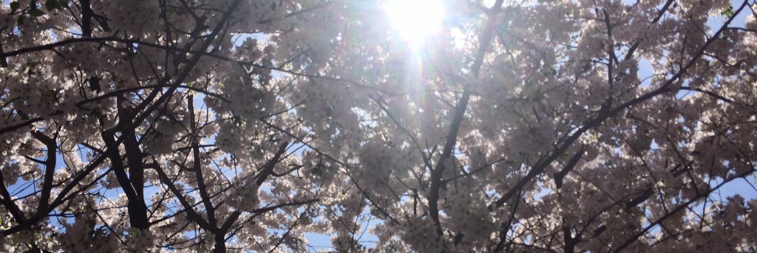 sblancap's profile banner image