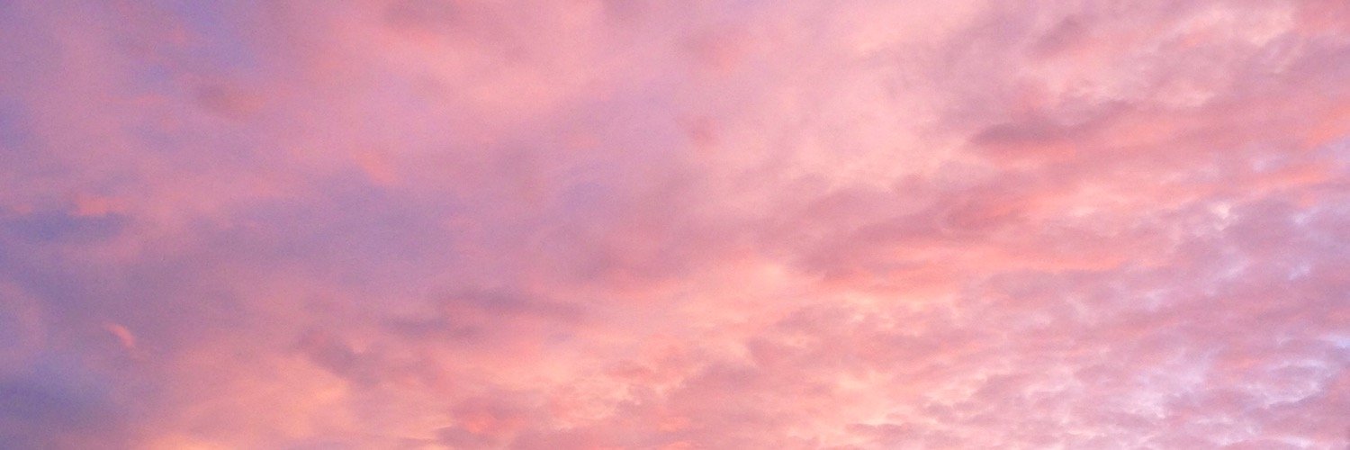 allisonpasse's profile banner image