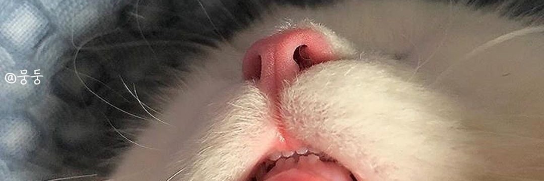 raaymorais_'s profile banner image
