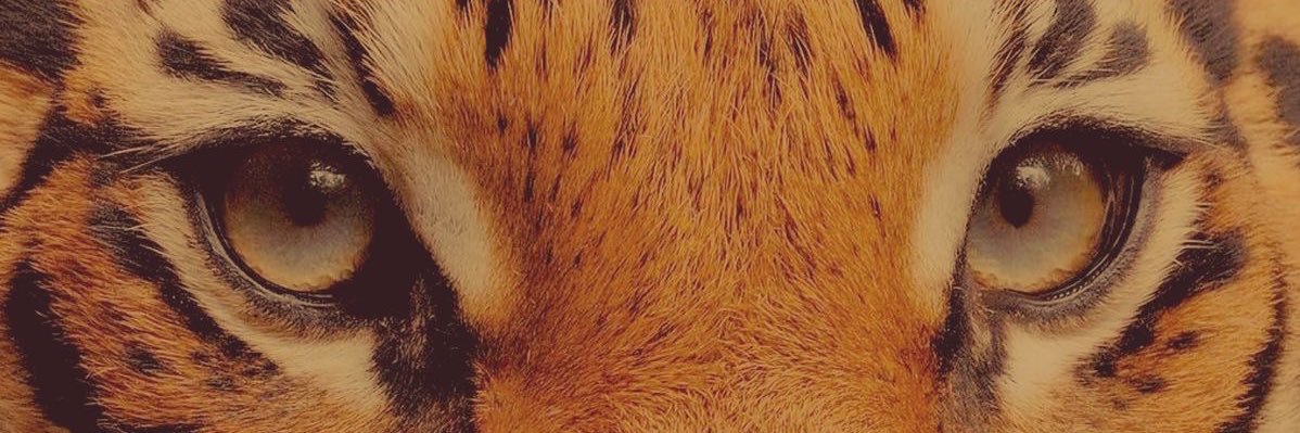 Soup 2.0 banner
