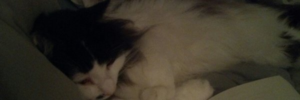 DeeDustin11 Profile Banner