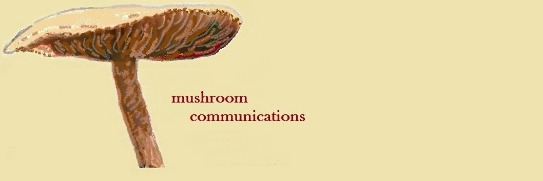 mushroomcomms's profile banner image