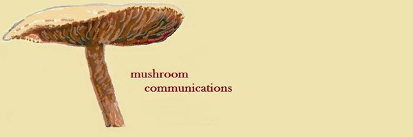 mushroomcomms Profile Banner