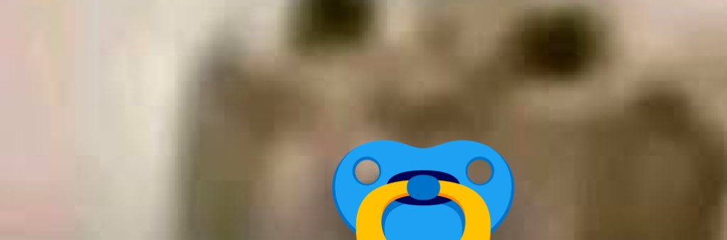 xp banner