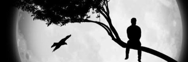 coskun0587's profile banner image