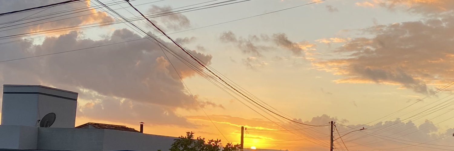 Roger CVelho banner