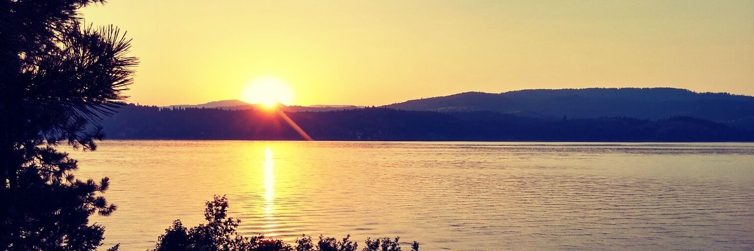 BertoCerrillo's profile banner image