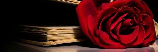 giselh87's profile banner image