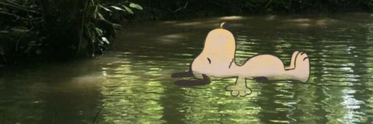 biaboroaqa's profile banner image