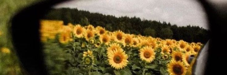 Ali_Omidiii's profile banner image