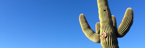 lalogond Profile Banner