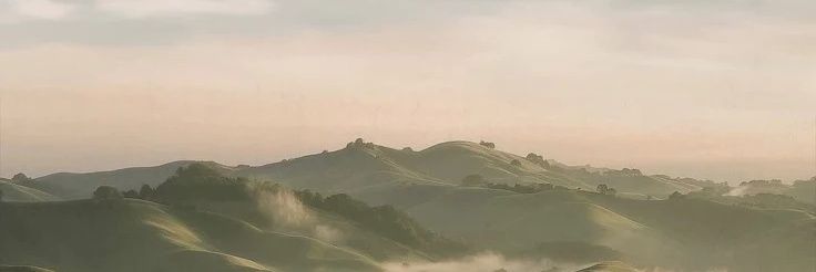 KuzDemir5's profile banner image
