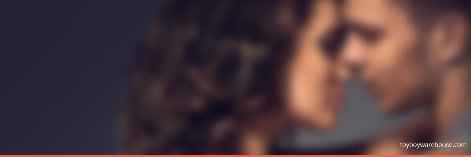 Toyboy Warehouse banner