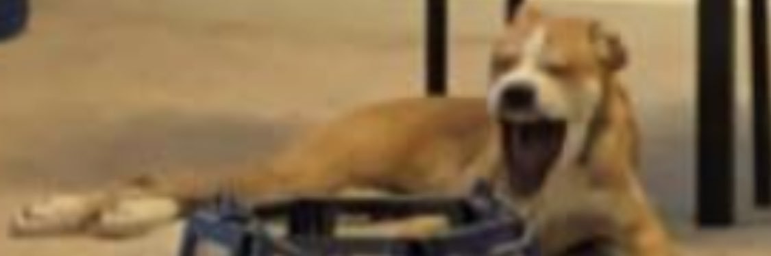 derrn_'s profile banner image