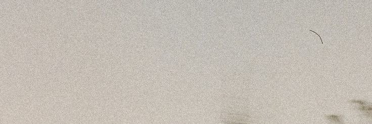 eve banner