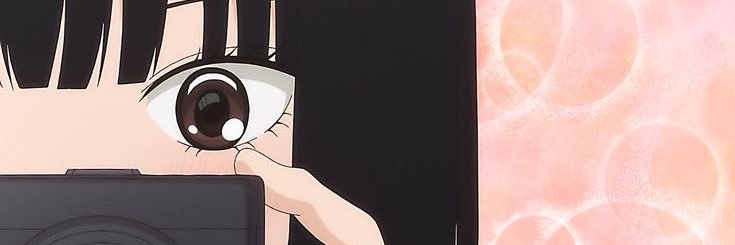 lin banner