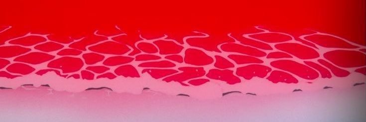 WiltedRozu's profile banner image