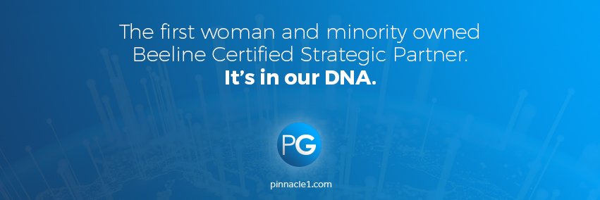 Pinnacle Group banner