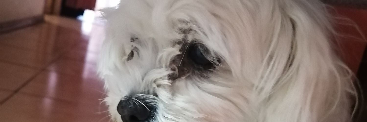 Vickimenares's profile banner image