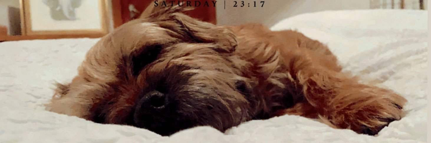 laurenmcmathh's profile banner image