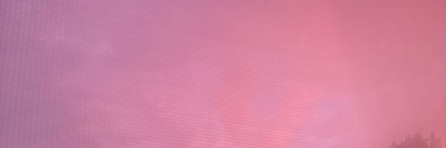 HoodGothPoppy's profile banner image