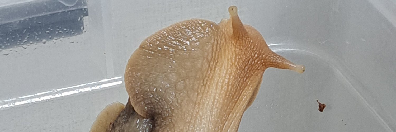 5evw3's profile banner image