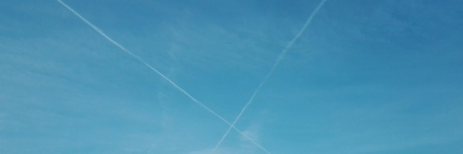 ditist's profile banner image