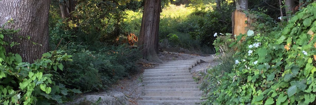 Sean Sandhurst banner