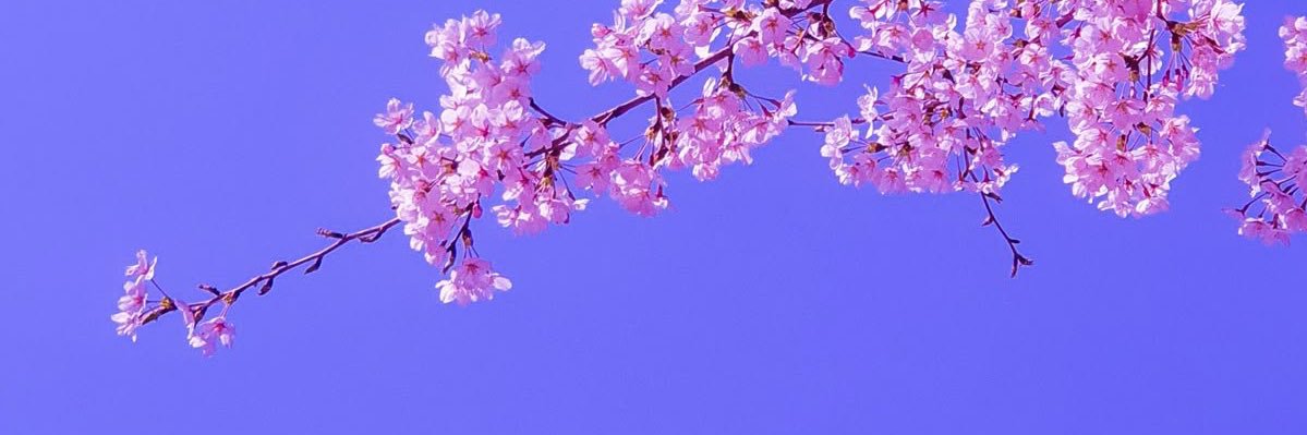 Remi Otero banner