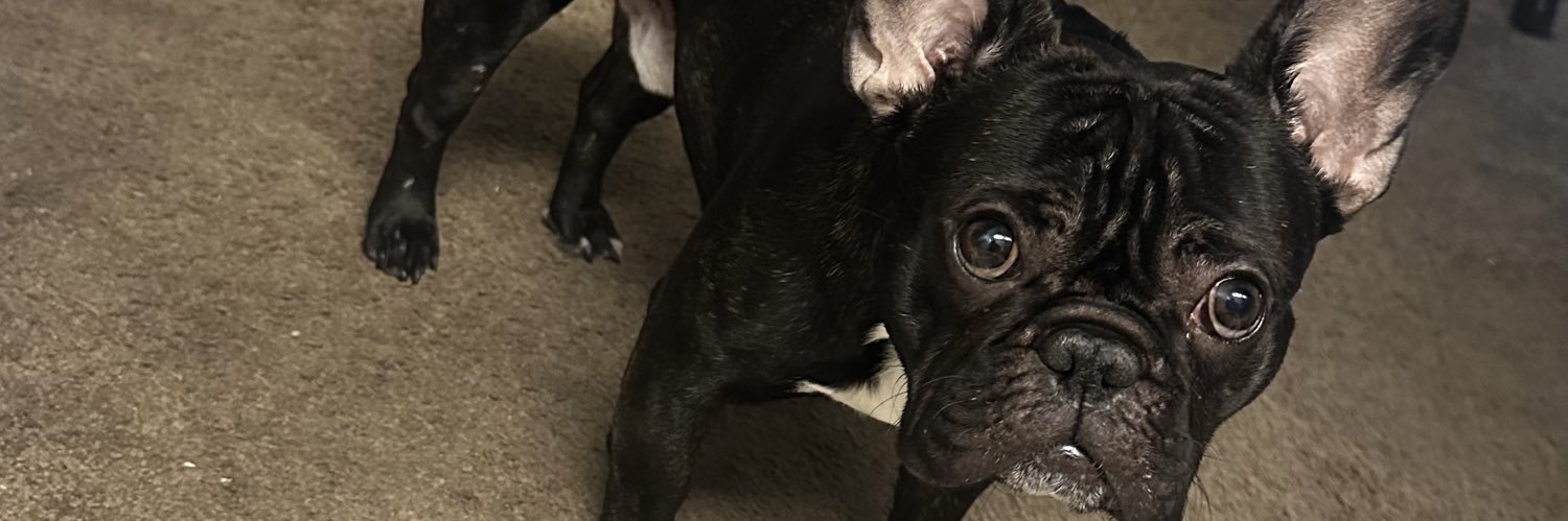 NoFeelingsGee's profile banner image