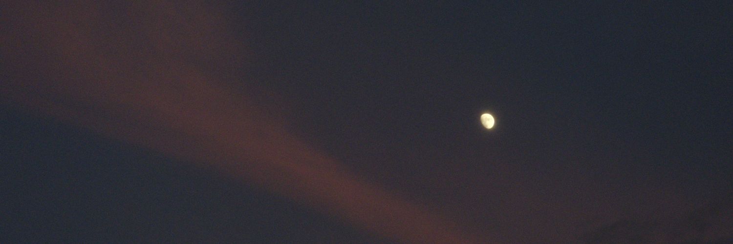 minninzin's profile banner image