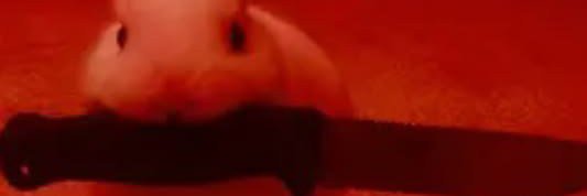 Onyksha's profile banner image