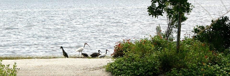ManateeBeautiFL's profile banner image
