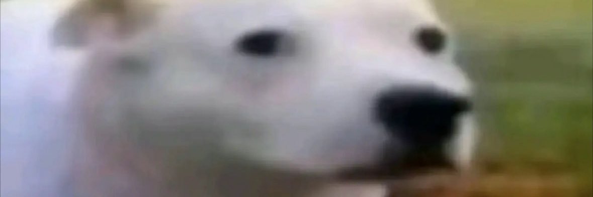 Chettoflama's profile banner image