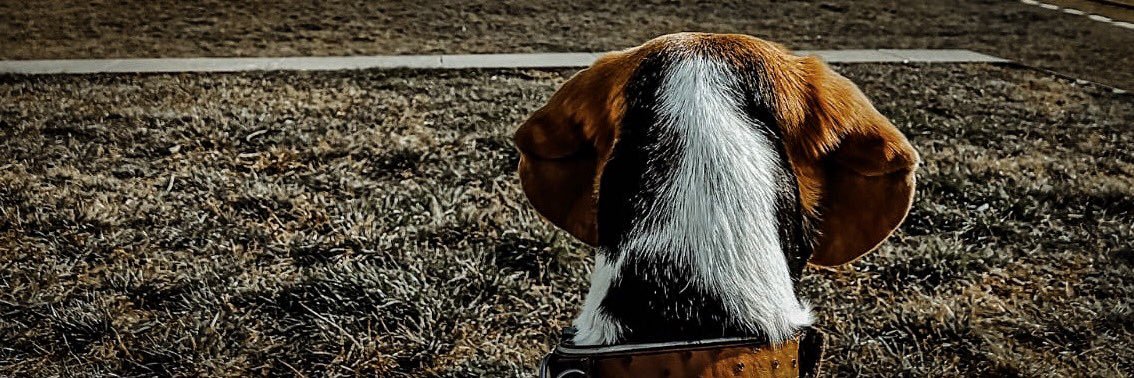 Maximilian Hess banner